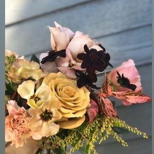 Meet your Posher, Rita